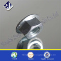 Zinc Galvanized Carbon Steel DIN6923 Flange Nut